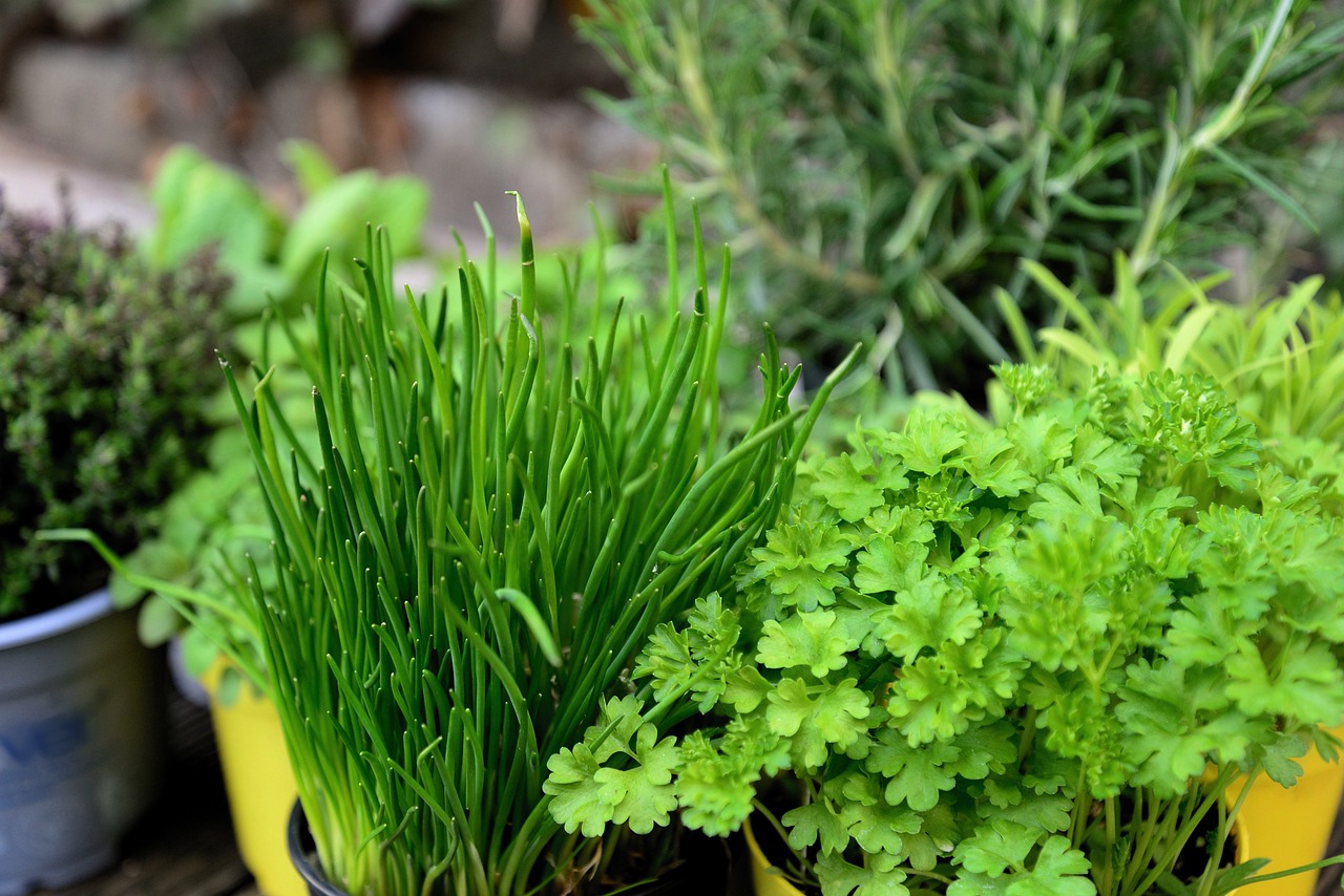 5 DIY Decor Ideas for Kitchen Counters